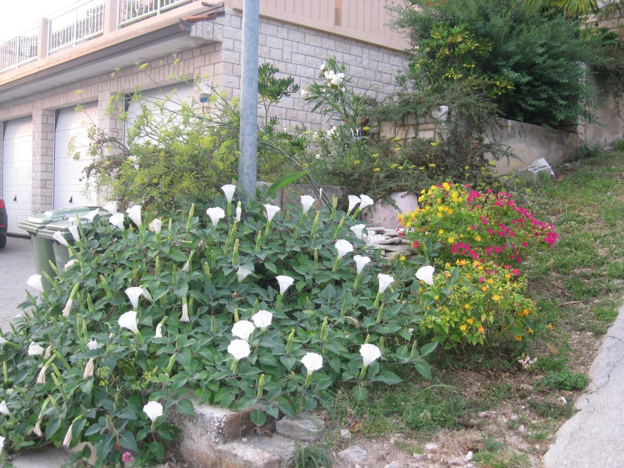 Apartments Silmare Rabac Zimmer foto